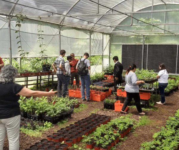 Universidad Nacional de Misiones, Argentina